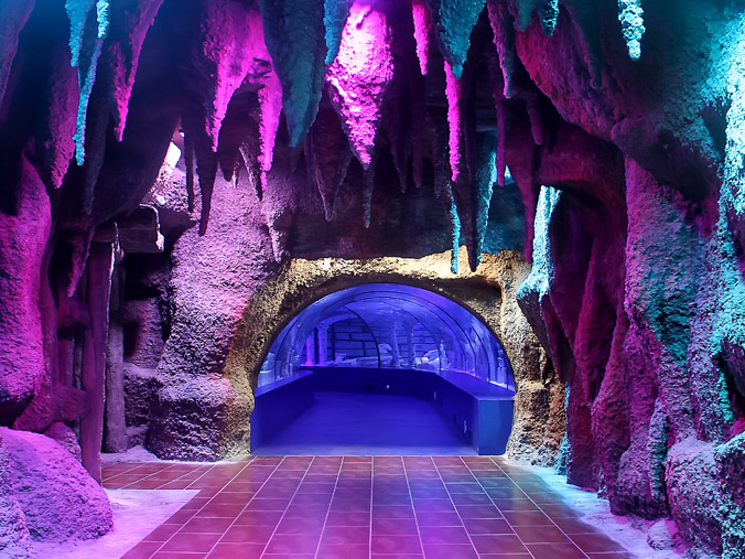 Von Kemer: Antalya Tunnel Aquarium